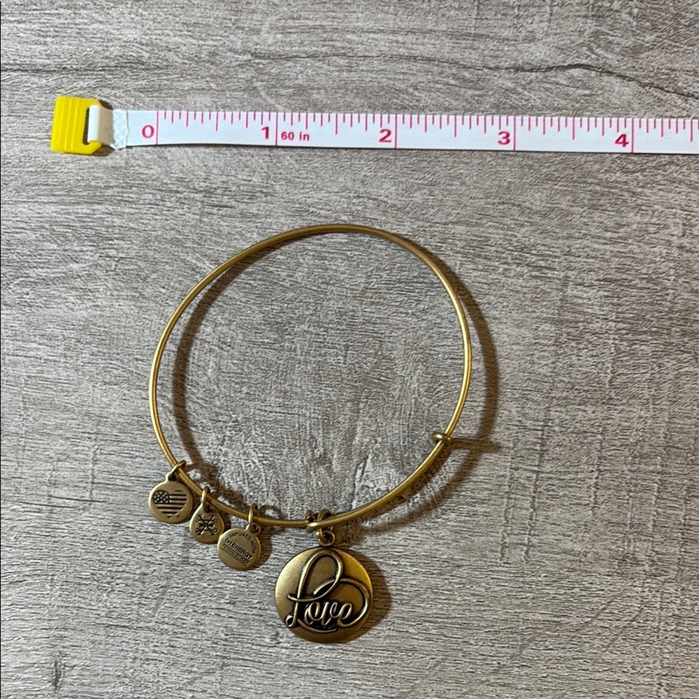 Alex and Ani Gold Love Bracelet